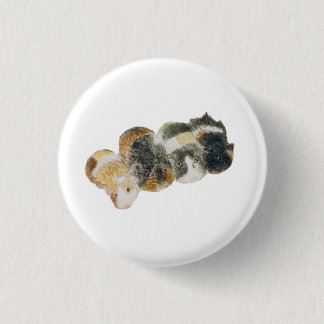 guinea pigs button