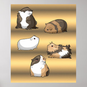 Guinea Pigs Cute Guinea Pigs Gold Lover Ohrs Poster