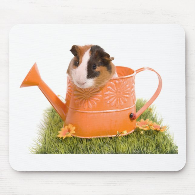 guinea pigs man hat lawn mousepad (Vorne)