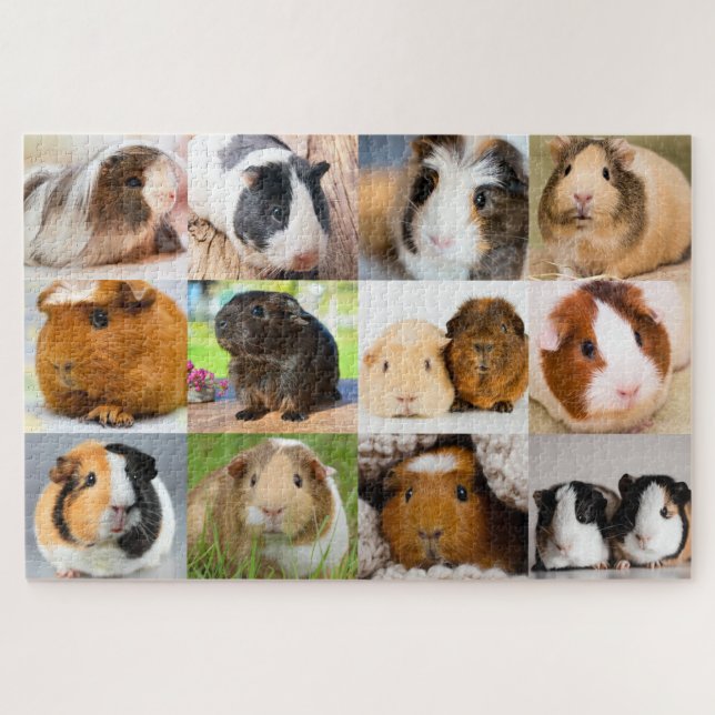 Guinea Pigs Puzzle (Horizontal)