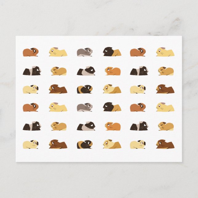 Guinea Postkarte (Vorderseite)