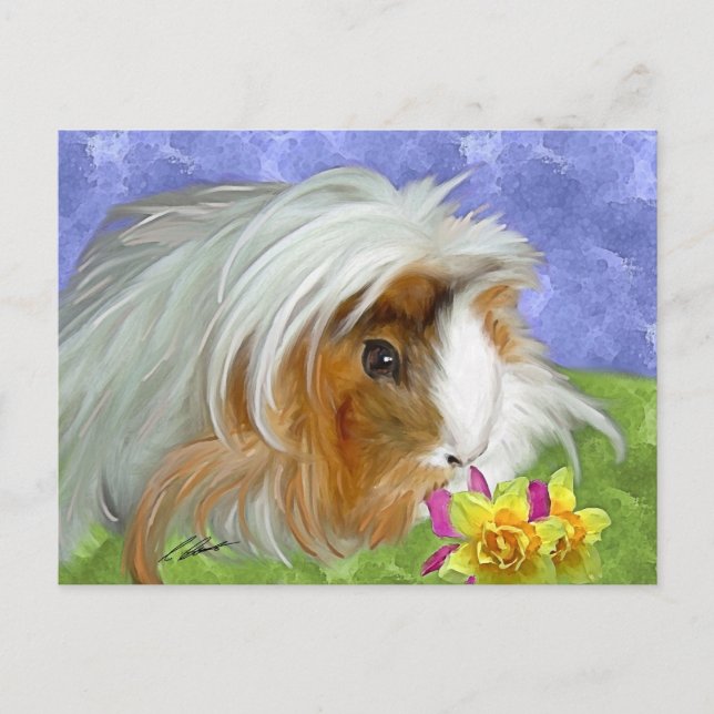 Guinea Postkarte (Vorderseite)