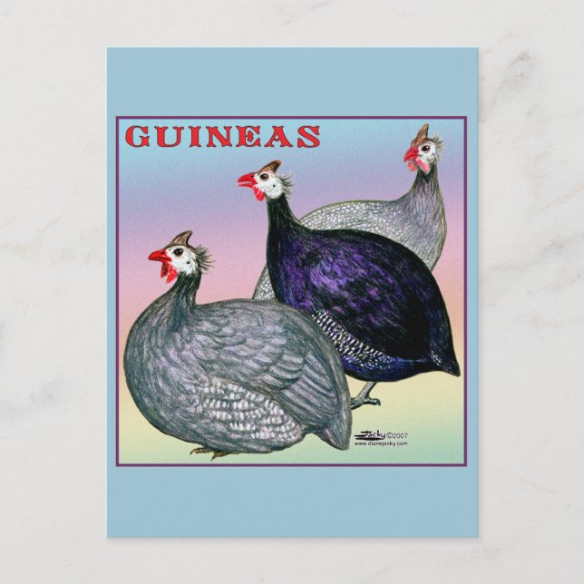 Guinea Postkarte (Vorderseite)
