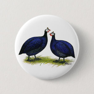 Guinea Royal Lila Pair Button