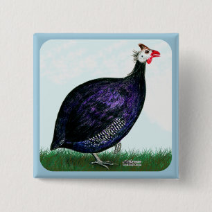 Guinea Royal Lila und Sky Button