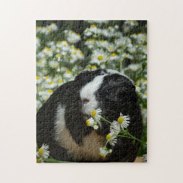 Guinea Schwein im Blumengarten Puzzle (Vertikal)
