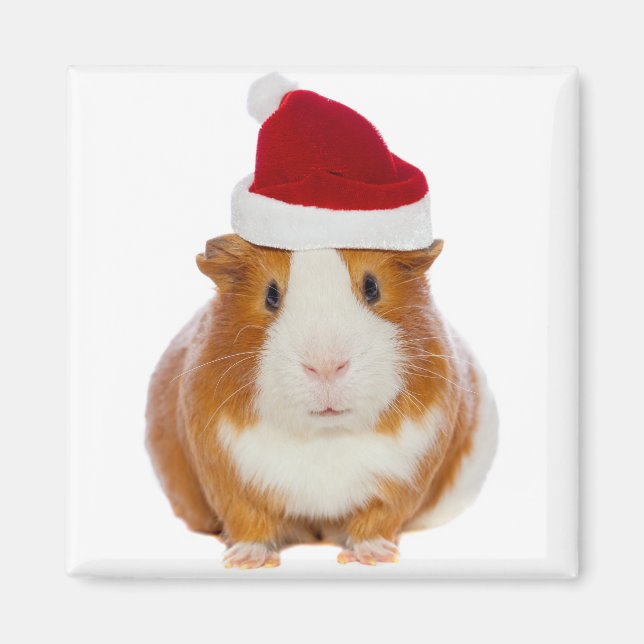 Guinea Schwein im Hut des Weihnachtsmannes Magnet (Vorne)