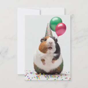 Guinea Schwein mit Party-Hat-Flachbildschirm Dankeskarte