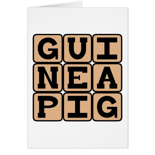 Guinea Schwein, Niedliches Haustier oder Testfach (Vorne)