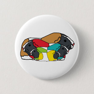 Guinea Schweine Button