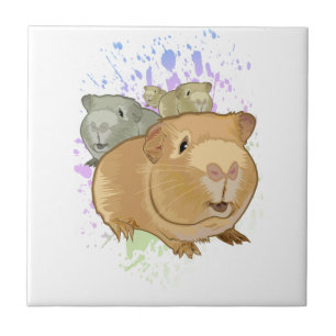 Guinea Schweine Fliese