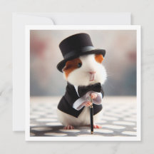 Guinea Schweine Geburtstag, Guinea Schwein Krawatt