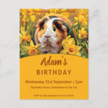 Guinea Schweine Geburtstagspartei