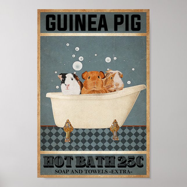 Guinea Schweine heißes Bad 25C Poster (Vorne)