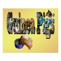 Guinea Schweine ist das Wort, Poster