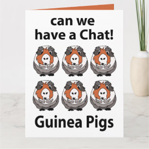 Guinea Schweine können wir einen Chat Helle Guinea Karte