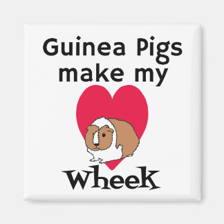 Guinea Schweine machen mein Herz rau Magnet