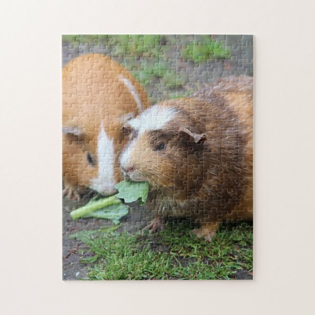 Guinea Schweine Puzzle (Vertikal)