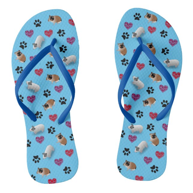 Guinea Schweine über Flip Flops (Fußbett)