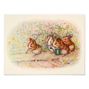 Guinea Schweine und Gartenwerkzeuge Fotodruck