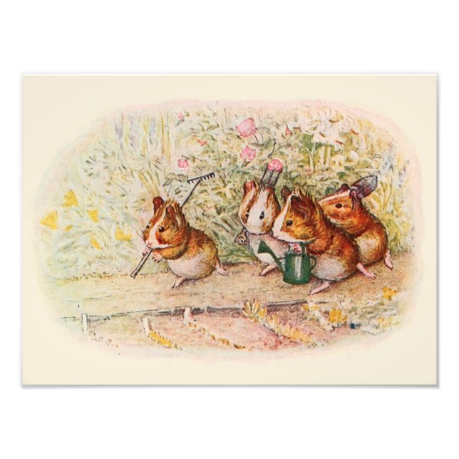 Guinea Schweine und Gartenwerkzeuge Fotodruck (Vorne)