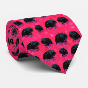 Guinea Schweine und Rose, Schweine Krawatte