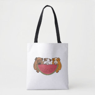 Guinea Schweine und Wassermelone Illustration
