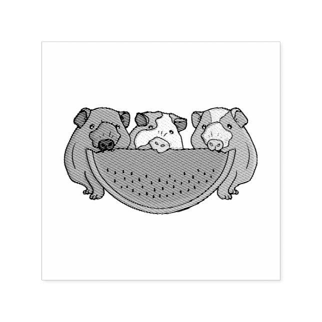 Guinea Schweine und Wassermelone Illustration Permastempel (Design)