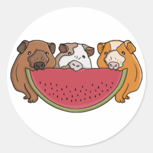 Guinea Schweine und Wassermelone Illustration Runder Aufkleber