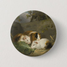 Guinea Schweine (von George Morland)
