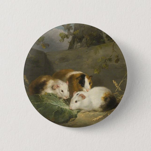 Guinea Schweine (von George Morland) Button (Vorderseite)