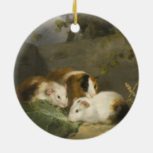 Guinea Schweine (von George Morland)
