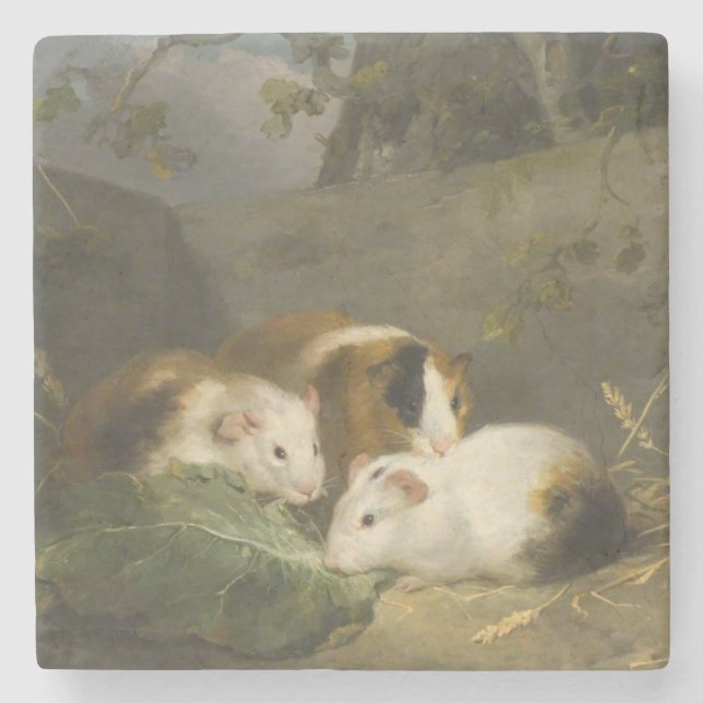 Guinea Schweine (von George Morland) Steinuntersetzer (Vorderseite)