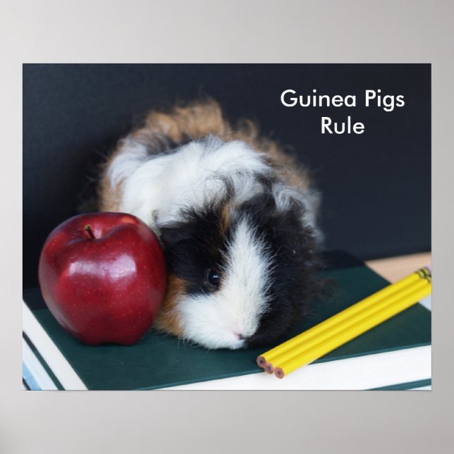 Guinea Schweinebrennposter Poster (Vorne)