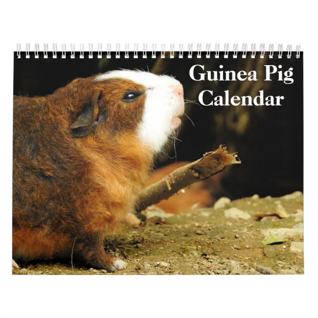 Guinea Schweinefleisch 2024 Kalender (Titelbild)