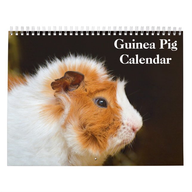 Guinea Schweinefleisch 2025 Kalender (Titelbild)