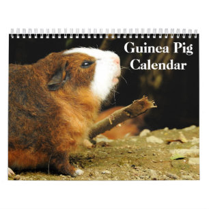 Guinea Schweinefleisch 2025 Kalender