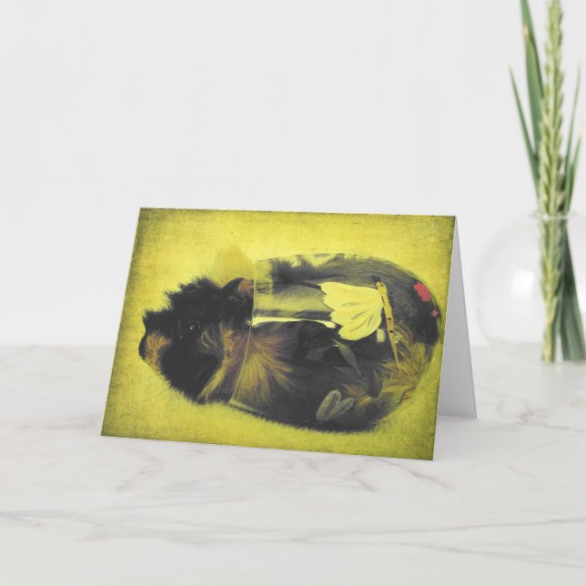 Guinea Schweinefleisch aus Weinglas Karte (Vorderseite)