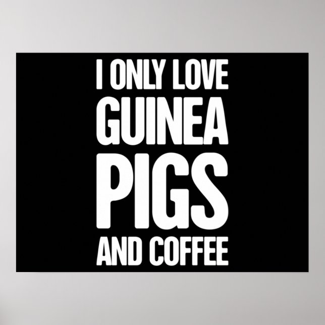 Guinea Schweinefleisch Guinea Schweinezüchter Poster (Vorne)