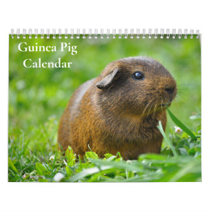 Guinea Schweinefleischkalender 2025 Kalender