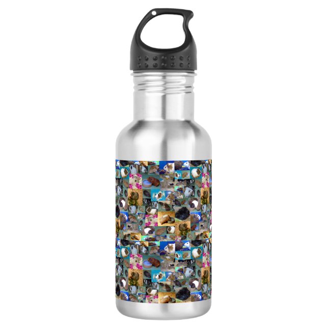 Guinea Schweinekollage, Wasserflasche (Vorderseite)