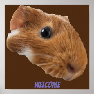 Guinea Schweinekopfposter Poster