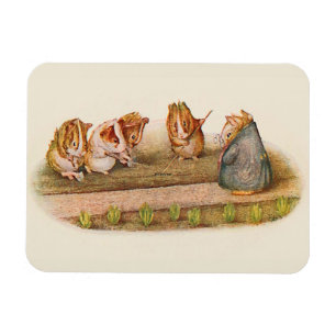 Guinea Schweinezuchtgarten Magnet