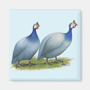 Guinea Slate Pair Magnet