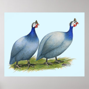 Guinea Slate Pair Poster
