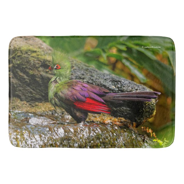 Guinea Turaco am Wasserfall Badematte (Vorderseite)
