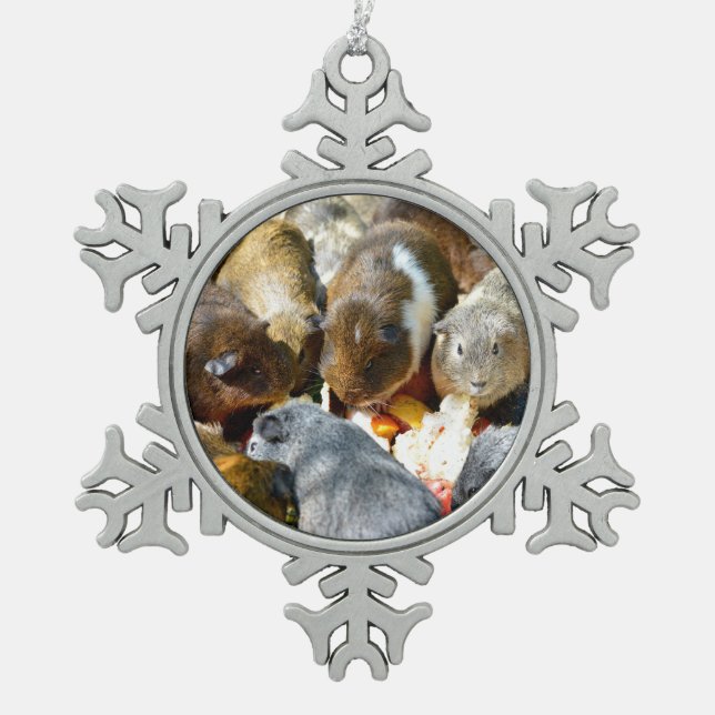 Guinea von Schweinen, die Früchte fressen Schneeflocken Zinn-Ornament (Vorderseite)