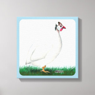 Guinea White Leinwanddruck