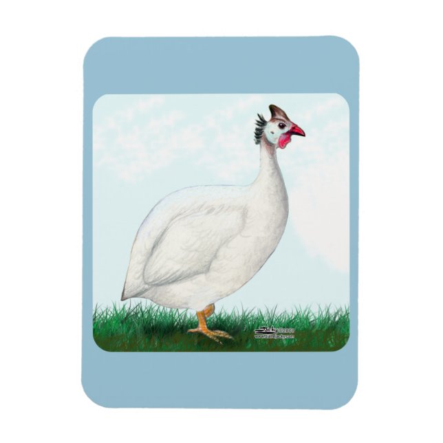 Guinea White Magnet (Vertikal)