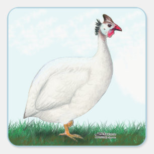 Guinea White Quadratischer Aufkleber